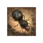 Logo of The Ants Underground Kingdom android Application 